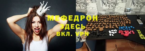 молекула духа Вяземский